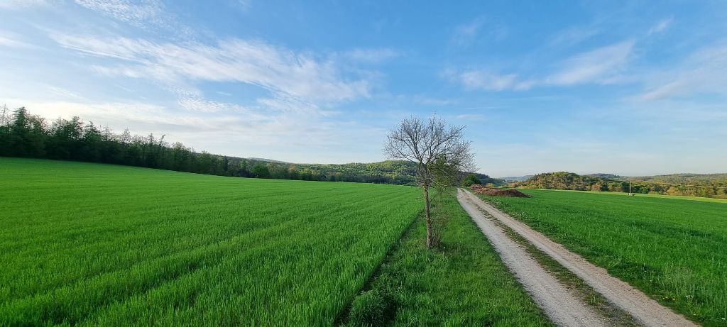 Jagdrevier im Kellerwald bei Jesberg